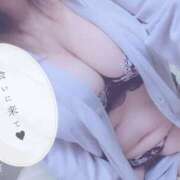 ヒメ日記 2025/09/27 16:55 投稿 きょうこ 栃木宇都宮ちゃんこ