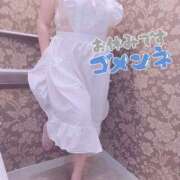 ヒメ日記 2025/10/22 10:55 投稿 きょうこ 栃木宇都宮ちゃんこ