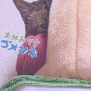 ヒメ日記 2025/10/28 12:35 投稿 きょうこ 栃木宇都宮ちゃんこ