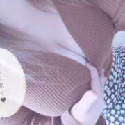 ヒメ日記 2025/10/30 09:05 投稿 きょうこ 栃木宇都宮ちゃんこ