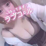 ヒメ日記 2025/11/05 13:45 投稿 きょうこ 栃木宇都宮ちゃんこ