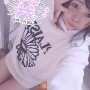 ヒメ日記 2025/12/31 17:25 投稿 きょうこ 栃木宇都宮ちゃんこ