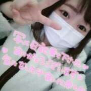 ヒメ日記 2026/02/12 17:55 投稿 きょうこ 栃木宇都宮ちゃんこ