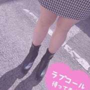 ヒメ日記 2026/02/28 11:15 投稿 きょうこ 栃木宇都宮ちゃんこ