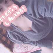 ヒメ日記 2026/03/16 15:45 投稿 きょうこ 栃木宇都宮ちゃんこ