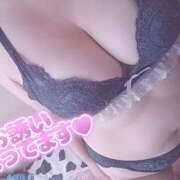 ヒメ日記 2026/07/20 12:15 投稿 きょうこ 栃木宇都宮ちゃんこ