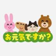 ヒメ日記 2026/07/26 14:45 投稿 きょうこ 栃木宇都宮ちゃんこ