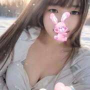 ヒメ日記 2025/01/01 16:34 投稿 三日月うさぎ ヌルテカ