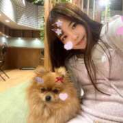 ヒメ日記 2025/03/12 23:14 投稿 三日月うさぎ ヌルテカ