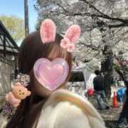 ヒメ日記 2025/04/05 15:50 投稿 三日月うさぎ ヌルテカ