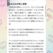ヒメ日記 2025/04/09 14:50 投稿 三日月うさぎ ヌルテカ
