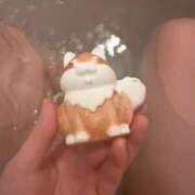 ヒメ日記 2025/11/23 00:55 投稿 三日月うさぎ ヌルテカ