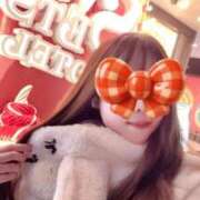 ヒメ日記 2025/11/25 20:50 投稿 三日月うさぎ ヌルテカ