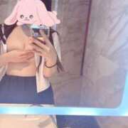 ヒメ日記 2026/02/25 14:30 投稿 三日月うさぎ ヌルテカ