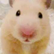 野呂 こんばんは🌙*.｡ 熟女の風俗最終章 新横浜店