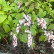 ヒメ日記 2026/04/15 09:56 投稿 野呂 熟女の風俗最終章 新横浜店