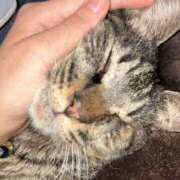 ゆか こんにちは！ 素人妻御奉仕倶楽部Hip's松戸店