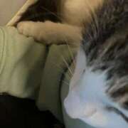 ゆか 近すぎる猫 素人妻御奉仕倶楽部Hip's松戸店