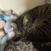 ヒメ日記 2026/03/31 18:39 投稿 ゆか 素人妻御奉仕倶楽部Hip's松戸店