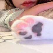 ヒメ日記 2025/01/16 23:47 投稿 うた 長崎佐世保ちゃんこ