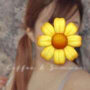 ヒメ日記 2025/04/04 11:31 投稿 うた 長崎佐世保ちゃんこ