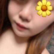 ヒメ日記 2025/04/07 14:07 投稿 うた 長崎佐世保ちゃんこ