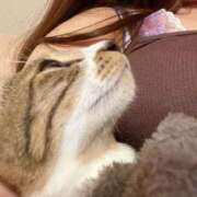 ヒメ日記 2025/04/13 10:07 投稿 うた 長崎佐世保ちゃんこ