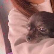 ヒメ日記 2025/04/27 15:51 投稿 うた 長崎佐世保ちゃんこ