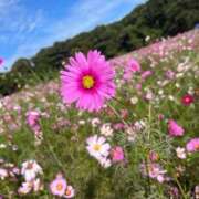 ヒメ日記 2025/11/12 11:57 投稿 うた 長崎佐世保ちゃんこ