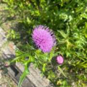 うた 🐰🐰🐰 長崎佐世保ちゃんこ