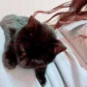 ヒメ日記 2026/01/23 10:07 投稿 うた 長崎佐世保ちゃんこ