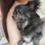 ヒメ日記 2026/03/24 17:57 投稿 うた 長崎佐世保ちゃんこ