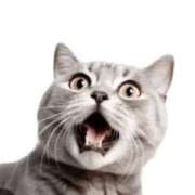 ヒメ日記 2025/03/19 11:22 投稿 蓮【れん】 丸妻 西船橋店