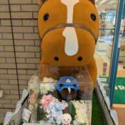 ヒメ日記 2025/05/23 19:45 投稿 蓮【れん】 丸妻 西船橋店