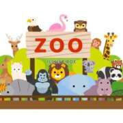 ヒメ日記 2025/12/01 19:25 投稿 蓮【れん】 丸妻 西船橋店