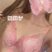 ヒメ日記 2025/03/24 19:55 投稿 ののか BIKINISPA「真」-ビキニスパ-