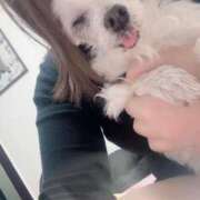 ヒメ日記 2025/12/24 13:19 投稿 あい ぽっちゃりプリンセス