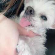 ヒメ日記 2025/12/26 14:37 投稿 あい ぽっちゃりプリンセス