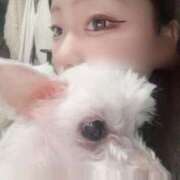 あい 盗人犬 ぽっちゃりプリンセス