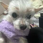 あい 眉 ぽっちゃりプリンセス