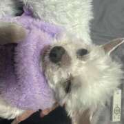 あい おやすみ ぽっちゃりプリンセス