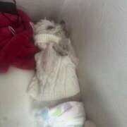 ヒメ日記 2026/01/06 14:30 投稿 あい ぽっちゃりプリンセス