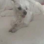 ヒメ日記 2026/01/10 21:14 投稿 あい ぽっちゃりプリンセス