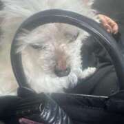 ヒメ日記 2026/01/13 12:36 投稿 あい ぽっちゃりプリンセス