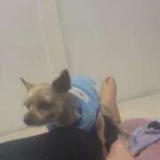 ヒメ日記 2026/01/14 18:56 投稿 あい ぽっちゃりプリンセス