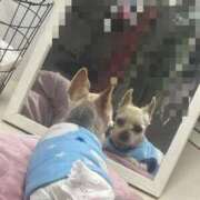 ヒメ日記 2026/01/14 19:03 投稿 あい ぽっちゃりプリンセス