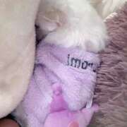 ヒメ日記 2026/01/15 18:26 投稿 あい ぽっちゃりプリンセス