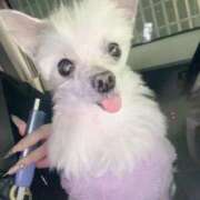 ヒメ日記 2026/01/15 20:36 投稿 あい ぽっちゃりプリンセス