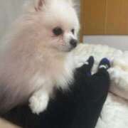 ヒメ日記 2026/01/25 18:18 投稿 あい ぽっちゃりプリンセス