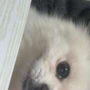 ヒメ日記 2026/02/02 15:38 投稿 あい ぽっちゃりプリンセス